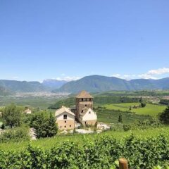 Schloss Hotel Korb Аппиано-сулла-Страда-дель-Вино фото 6