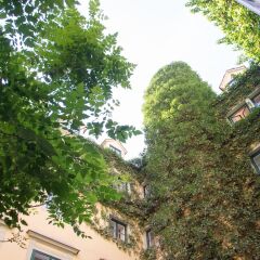 Отель Mailberger Hof Вена балкон