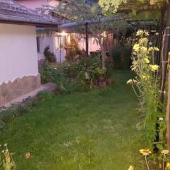 Отель Nenkovi Guest House Болгария, Трявна - отзывы, цены и фото номеров - забронировать отель Nenkovi Guest House онлайн фото 8
