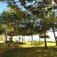 Отель HomeHolidaysRentals Apartamento Les Palmeres - Costa Brava Испания, Бланес - отзывы, цены и фото номеров - забронировать отель HomeHolidaysRentals Apartamento Les Palmeres - Costa Brava онлайн фото 3