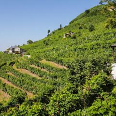 Отель Agriturismo Due Carpini Вальдоббьадене фото 2
