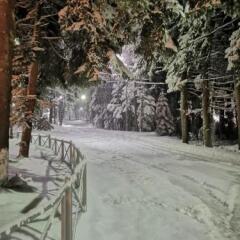 Отель Saint George Holiday Village Болгария, Боровец - отзывы, цены и фото номеров - забронировать отель Saint George Holiday Village онлайн ванная фото 2