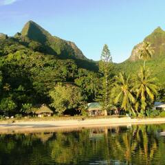 Отель Linareva Moorea Beach Resort Французская Полинезия, Муреа - отзывы, цены и фото номеров - забронировать отель Linareva Moorea Beach Resort онлайн приотельная территория фото 2