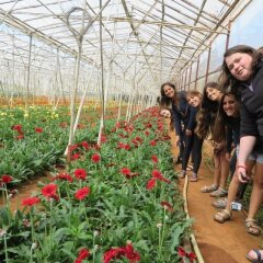 Отель Dalat Authentic Homestay Вьетнам, Далат - отзывы, цены и фото номеров - забронировать отель Dalat Authentic Homestay онлайн помещение для мероприятий фото 2