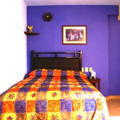 Отель Casa Alebrijes Gay Hotel Мексика, Гвадалахара - отзывы, цены и фото номеров - забронировать отель Casa Alebrijes Gay Hotel онлайн фото 9