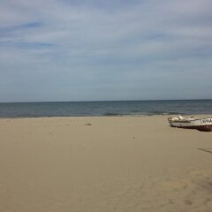 Отель Oasis Beach Resort Kamchia Болгария, Варна - отзывы, цены и фото номеров - забронировать отель Oasis Beach Resort Kamchia онлайн пляж