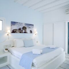 Anemoessa Boutique Hotel Mykonos комната для гостей фото 4