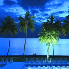 Отель Holiday Inn Suva Фиджи, Вити-Леву - отзывы, цены и фото номеров - забронировать отель Holiday Inn Suva онлайн бассейн фото 2