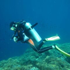 Отель Artistic Diving Resort спортивное сооружение