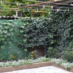 Гостиница Guest House on Gorkogo street 51 в Анапе отзывы, цены и фото номеров - забронировать гостиницу Guest House on Gorkogo street 51 онлайн Анапа помещение для мероприятий фото 2