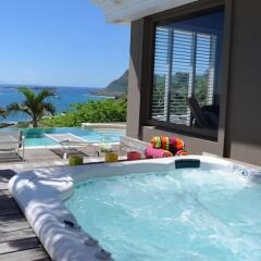 Villa Acamar in St. Barthelemy, Saint Barthelemy from 1444$, photos, reviews - zenhotels.com pool photo 2