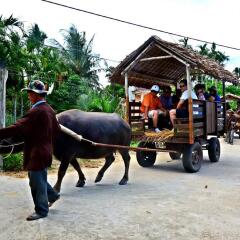 Aurora Riverside Hotel & Villas Hoi An детские мероприятия фото 2