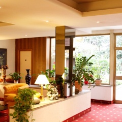 Hotel Edera интерьер отеля