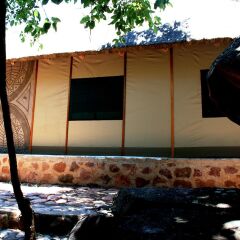 Отель Mashovhela Bush Lodge 3* Стандартный номер с различными типами кроватей