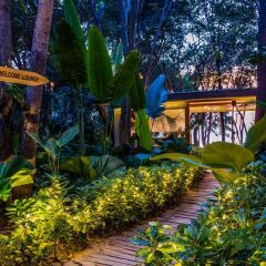Floral Lux Hotel Monttra Pattaya Паттайя фото 16