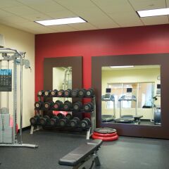 Отель Holiday Inn Effingham США, Эффингем - отзывы, цены и фото номеров - забронировать отель Holiday Inn Effingham онлайн фитнесс-зал