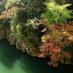 Tsuetate Kanko Hotel Hizenya Минамиогуни фото 5