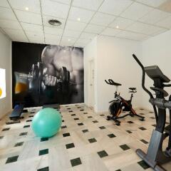 Отель Fénix Torremolinos - Adults Only Испания, Торремолинос - отзывы, цены и фото номеров - забронировать отель Fénix Torremolinos - Adults Only онлайн фитнесс-зал фото 4