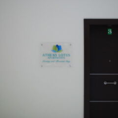 Отель Athens Lotus Афины интерьер отеля фото 3