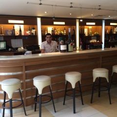 SG Hotel Perunika гостиничный бар