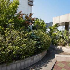 Отель Hyundai Residence Seoul Южная Корея, Сеул - отзывы, цены и фото номеров - забронировать отель Hyundai Residence Seoul онлайн фото 3