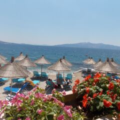 Отель Oceanic Overview Suites пляж