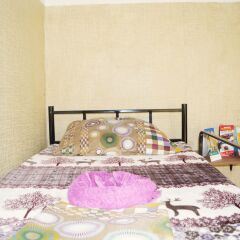 My Hostel Тбилиси комната для гостей фото 4