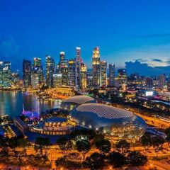 Отель Grand Hyatt Singapore Сингапур, Сингапур - 1 отзыв об отеле, цены и фото номеров - забронировать отель Grand Hyatt Singapore онлайн фото 7