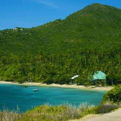 Отель Spring House Bequia пляж фото 2