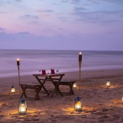 Отель Palm Beach Inn and Sea Shells Cabanas Шри-Ланка, Бентота - отзывы, цены и фото номеров - забронировать отель Palm Beach Inn and Sea Shells Cabanas онлайн фото 13