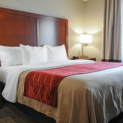 Comfort Inn Santa Fe in Santa Fe, United States of America from 141$, photos, reviews - zenhotels.com guestroom