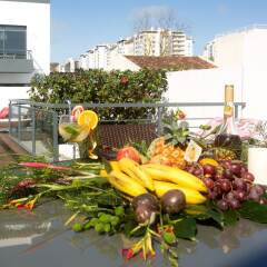 Отель Home Azores - Ana's Place Португалия, Понта-Делгада - отзывы, цены и фото номеров - забронировать отель Home Azores - Ana's Place онлайн балкон