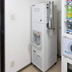 Отель Sotetsu Fresa Inn Nihombashi-Kayabacho в номере