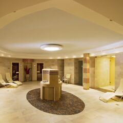 Rubin Wellness & Conference Hotel сауна