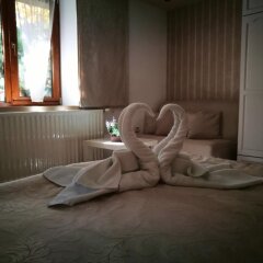 Отель Zigen House Болгария, Банско - отзывы, цены и фото номеров - забронировать отель Zigen House онлайн сауна