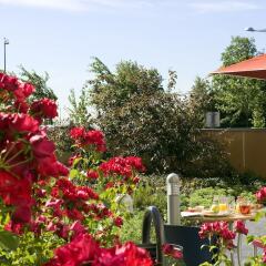 Отель Novotel Suites Paris Roissy CDG балкон
