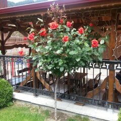 Отель Family Hotel Yola Болгария, Чепеларе - отзывы, цены и фото номеров - забронировать отель Family Hotel Yola онлайн фото 4