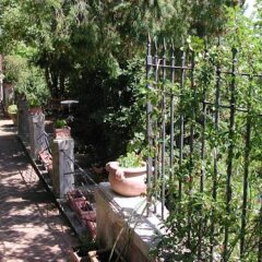 Отель Fonte Del Castagno Синалунга фото 4