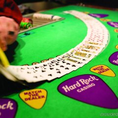 Seminole Hard Rock Hotel and Casino развлечения