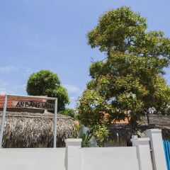 Отель Cashew Tree Bungalow фото 7