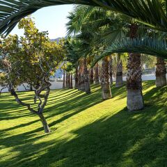 Отель Santorini Kastelli Resort Греция, Остров Санторини - отзывы, цены и фото номеров - забронировать отель Santorini Kastelli Resort онлайн приотельная территория