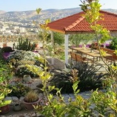Отель Petra Bed & Breakfast Иордания, Вади-Муса - отзывы, цены и фото номеров - забронировать отель Petra Bed & Breakfast онлайн фото 8