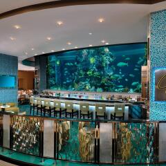 Golden Nugget Las Vegas Hotel & Casino гостиничный бар