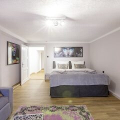 Отель APT - Stone Lodge Salzburg Австрия, Зальцбург - отзывы, цены и фото номеров - забронировать отель APT - Stone Lodge Salzburg онлайн комната для гостей фото 3