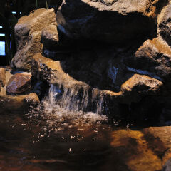 Отель Tennen Onsen Toyama Tsurugi No Yu Onyado Nono Тояма фото 2