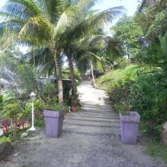 Отель Fare Arana - Near Painapo Beach Муреа фото 3