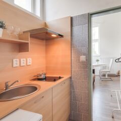 Апартаменты Bright Prague Castle Apartments Прага фото 26