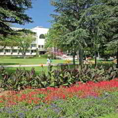Hotel Lebed - All Inclusive фото 2