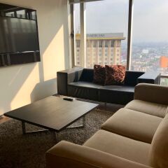 Отель Plaza Suites Mexico City Hotel Мексика, Мехико - отзывы, цены и фото номеров - забронировать отель Plaza Suites Mexico City Hotel онлайн комната для гостей фото 5