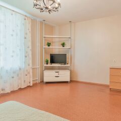 Отель Flathome24 Near Metro Komendanskiy Prospect Санкт-Петербург удобства в номере